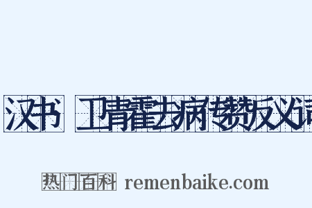 汉书·卫青霍去病传赞反义词是什么意思的图片